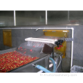 usine de transformation de la confiture de tomates